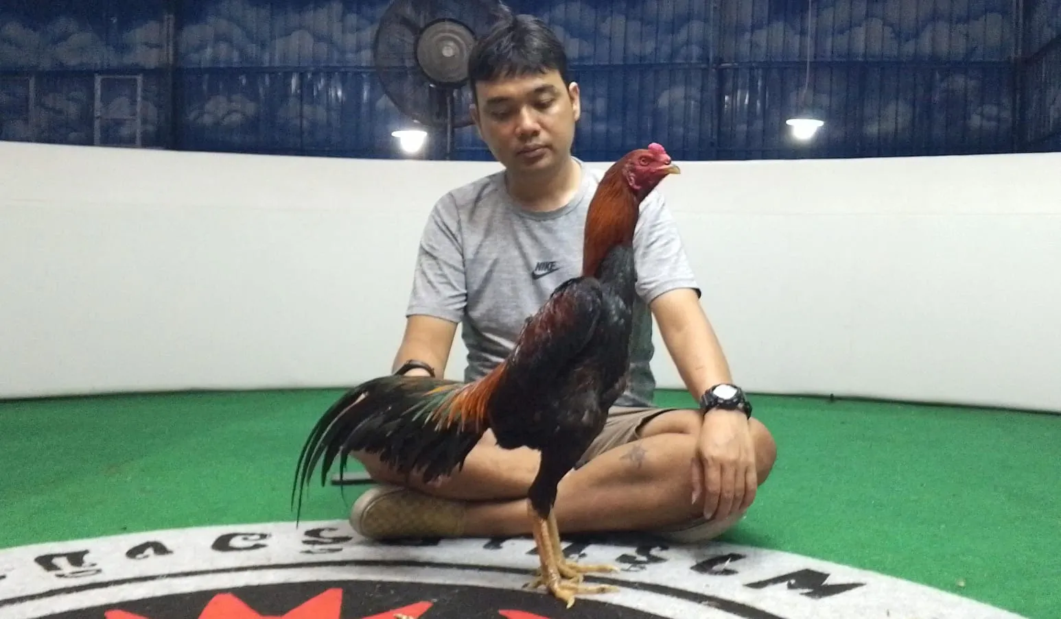 "TURUN BOX"MANEDAENG X ARJUNA SUPER LOCK DALAM BRAKOTANYA MEWAH (BERVIDIO) SOLD OUT 