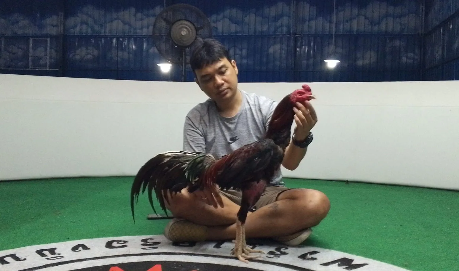 PREMAN PENSIUN!!!KHUSUS PEJANTAN WIN 4X MANEDAENG X PANSER GEN 3(2X BERVIDIO) SOLD OUT 
