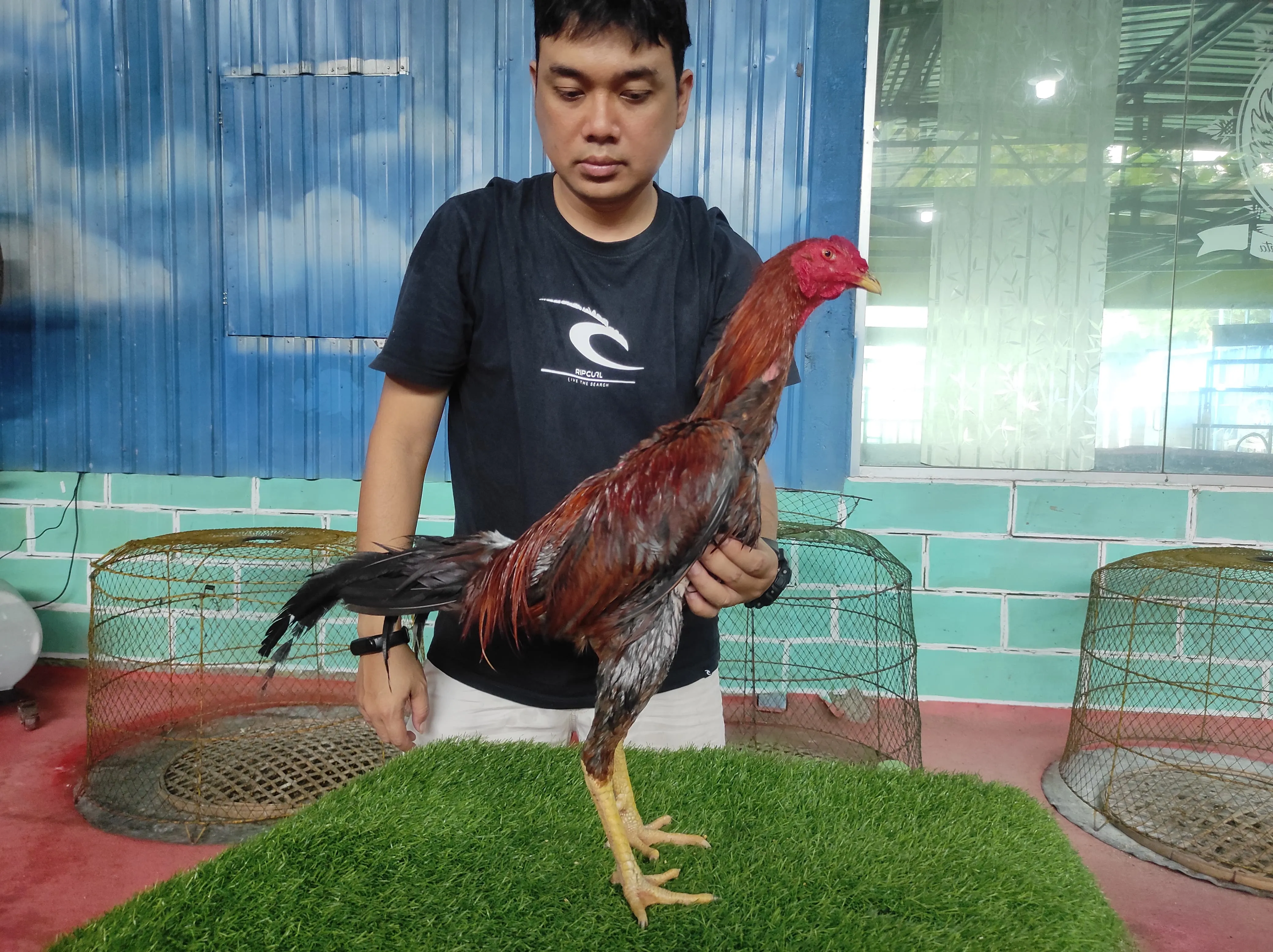 TURUN BOX “”MARATHON SUPER KEBUT”VALENTINO ROSI X COPET PART 023″obat pakhoey dan tekhnik”(BERVIDIO) SOLD OUT